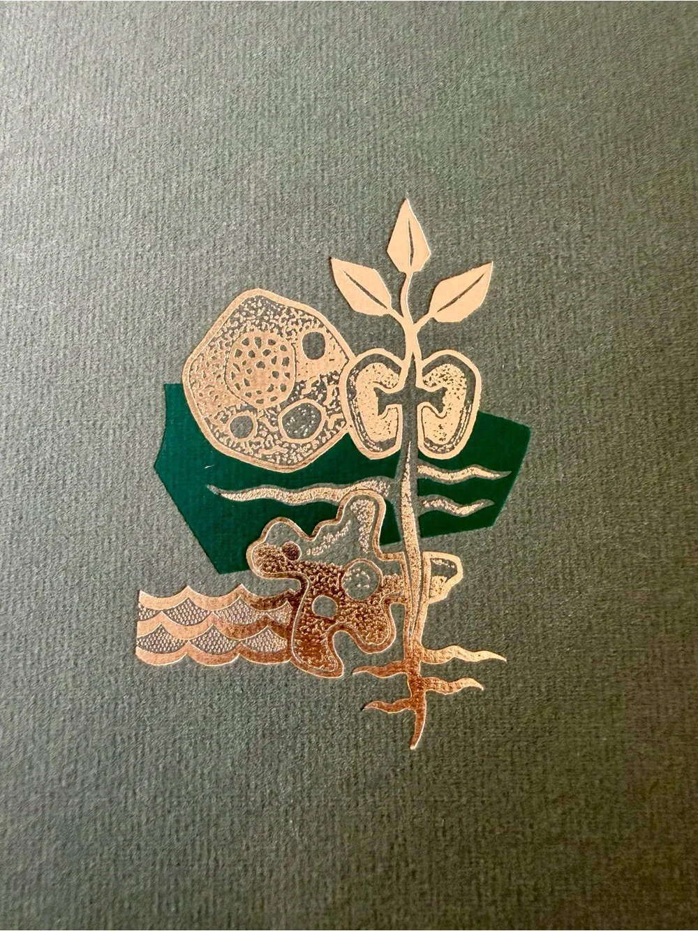 Vintage The Origin of Species by Charles Darwin